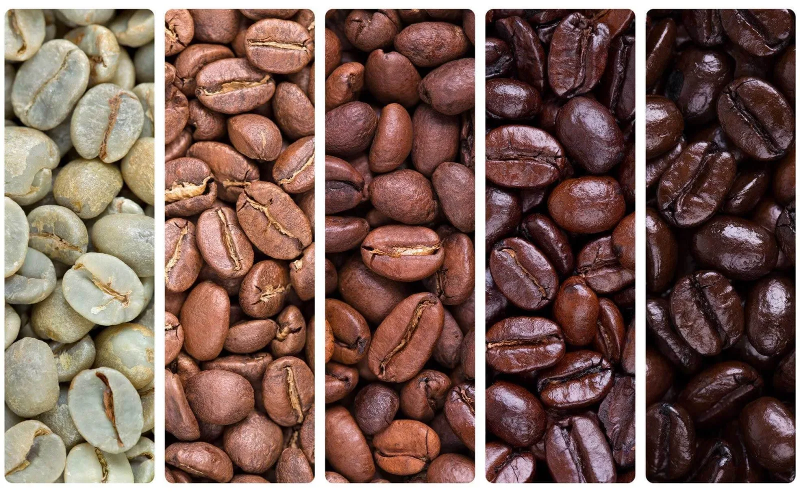 رست قهوه چیست و چه فرآیندی دارد؟